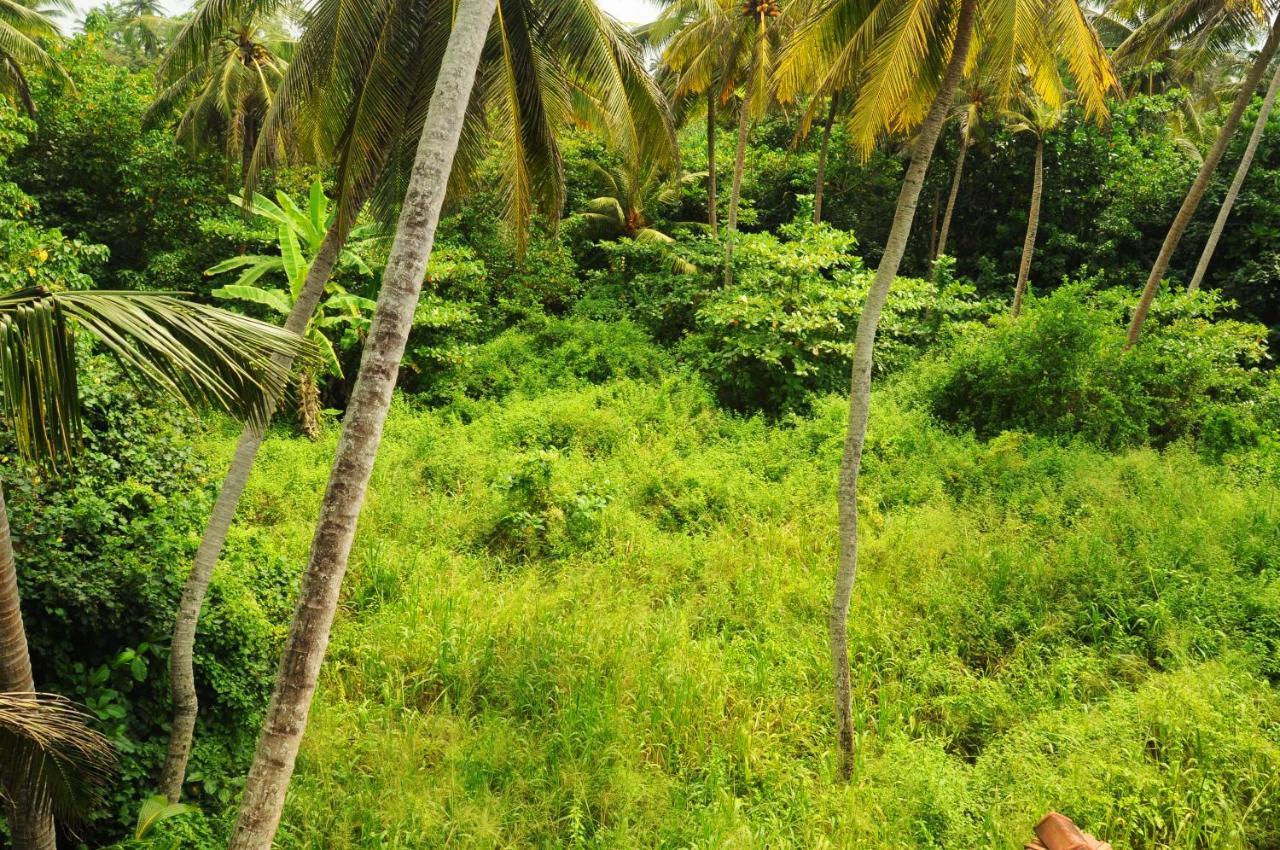 Deutsch Lanka Hotel Telwatta Екстер'єр фото